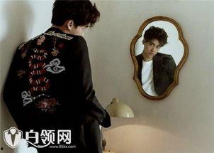 李易峰被爆料视频完整版,完整版揭露背后真相